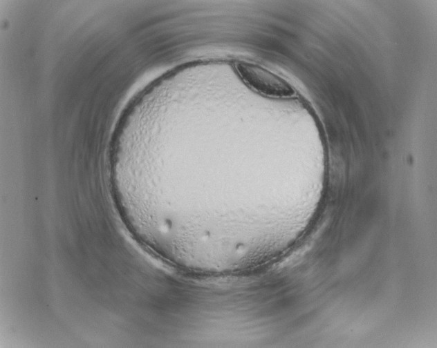 X0000074961045200609291908