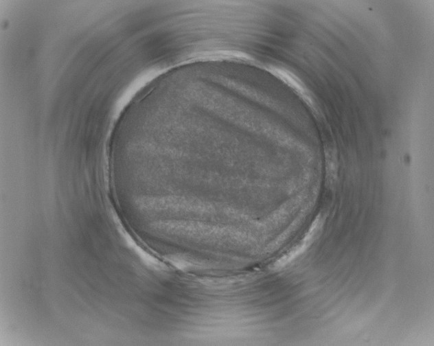 X0000074961046200609291908