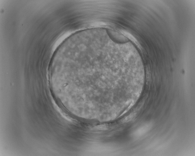 X0000074961047200609291908