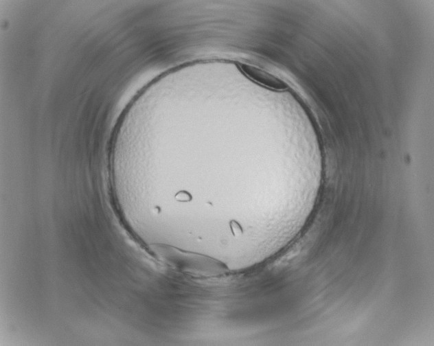 X0000074961048200609291908