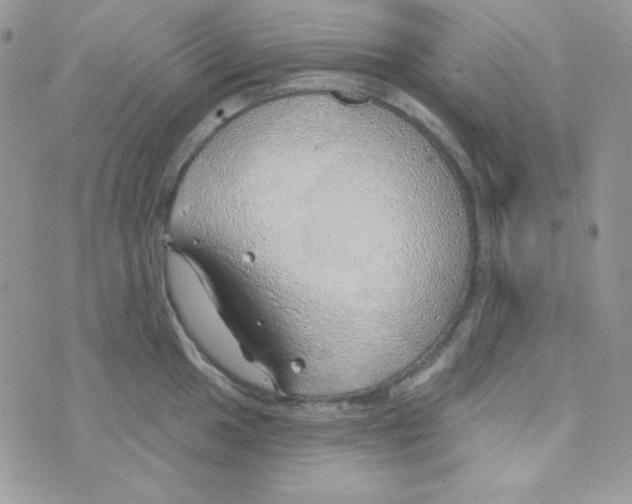 X0000074961049200609291908