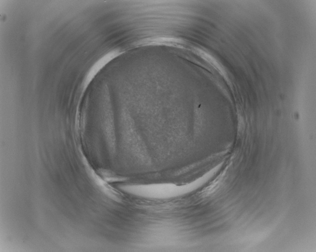 X0000074961050200609291908