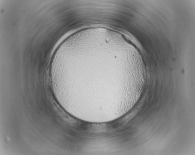 X0000074961052200609291908