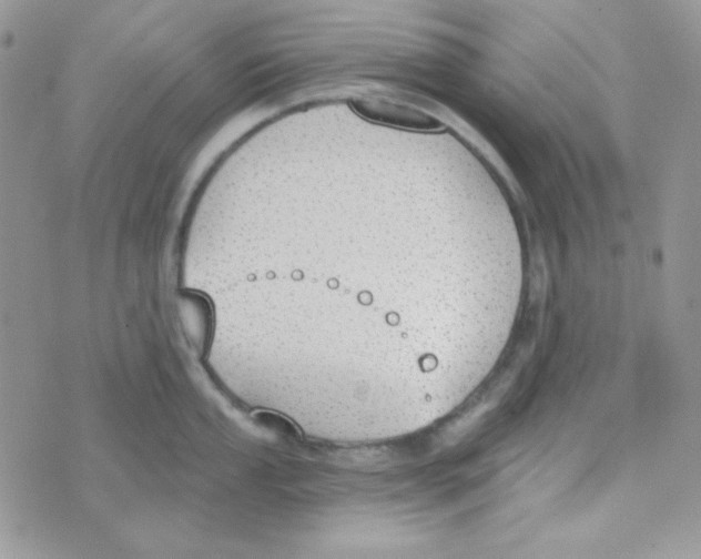 X0000074961053200609291908