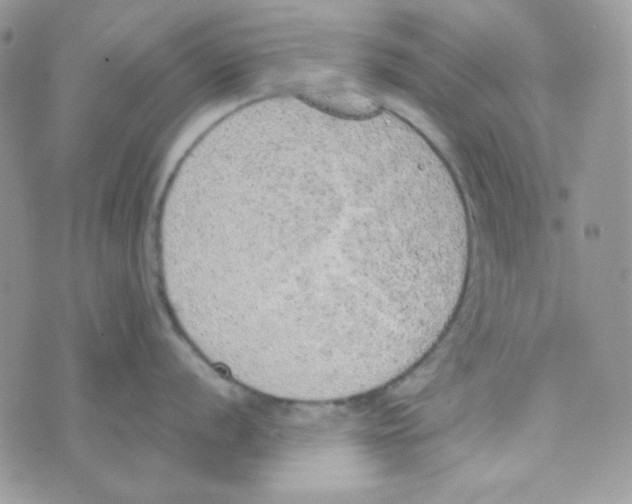 X0000074961056200609291908