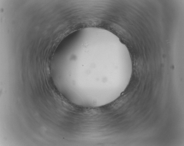 X0000074961058200609291907