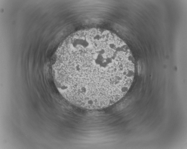 X0000074961059200609291907