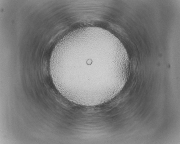 X0000074961060200609291907