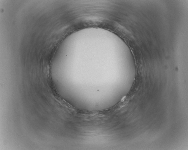 X0000074961061200609291907