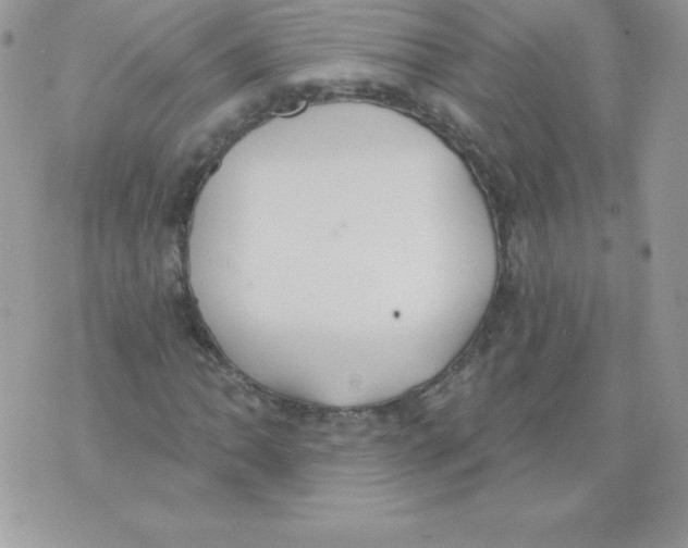 X0000074961062200609291907