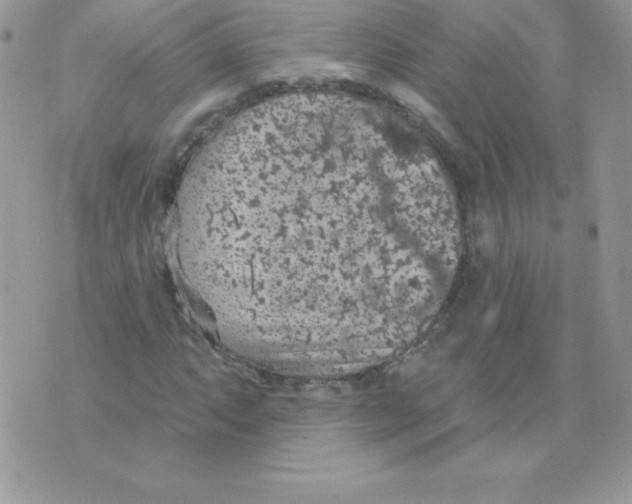 X0000074961063200609291907