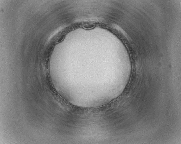 X0000074961064200609291907