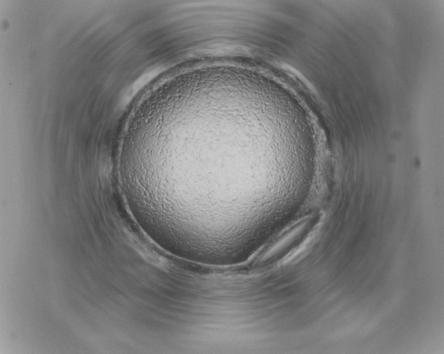 X0000074961065200609291907