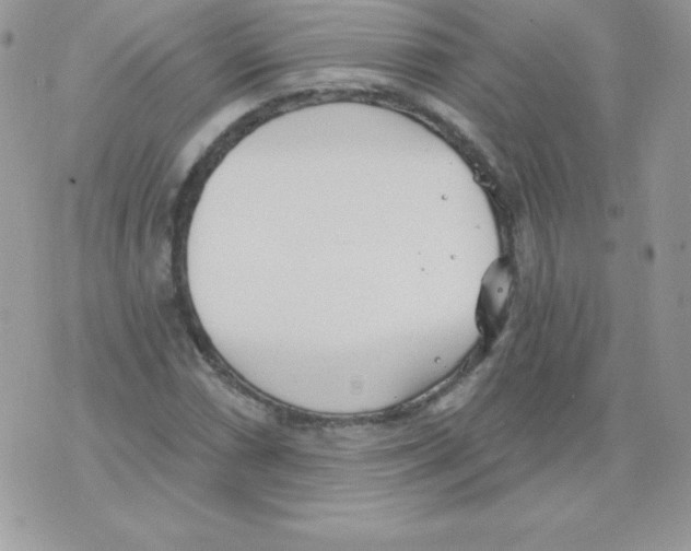 X0000074961066200609291907