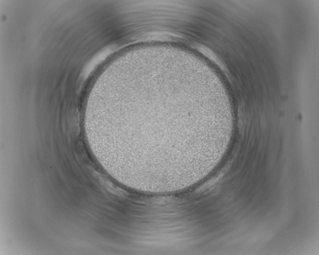 X0000074961067200609291907