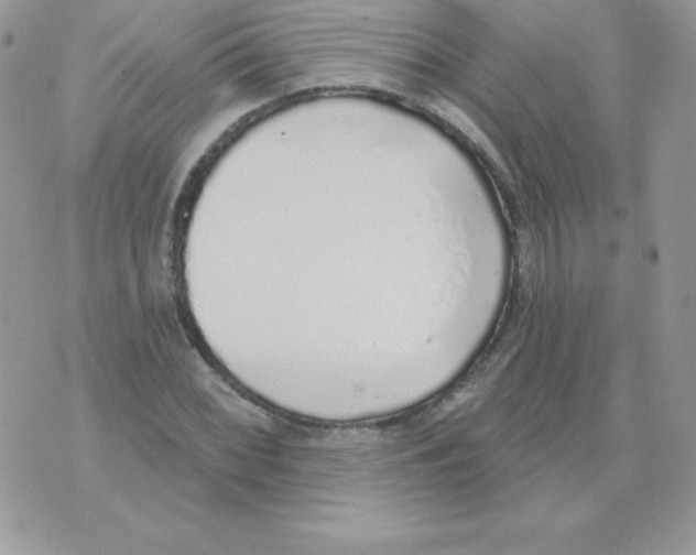 X0000074961068200609291907