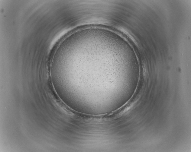 X0000074961069200609291907