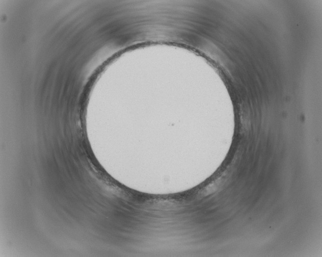 X0000074961070200609291907