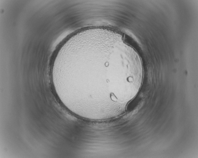 X0000074961071200609291907