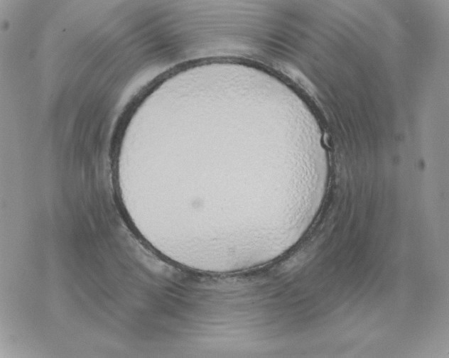 X0000074961072200609291907