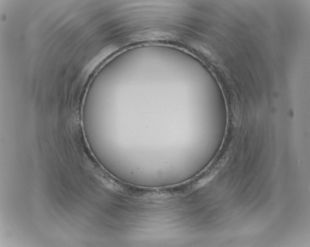 X0000074961073200609291907