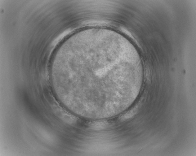 X0000074961074200609291907