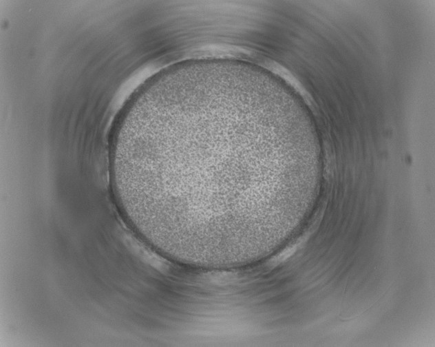 X0000074961075200609291907