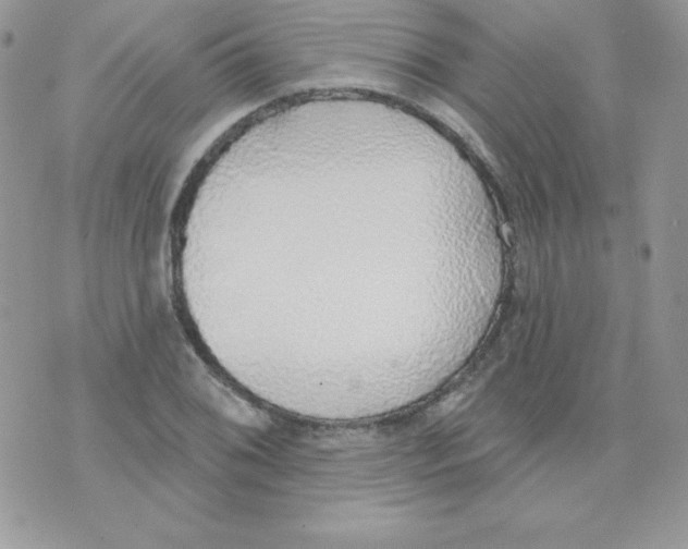 X0000074961076200609291907