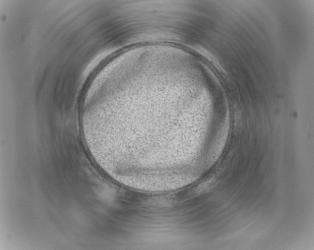 X0000074961078200609291907