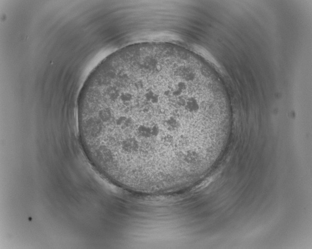 X0000074961079200609291907