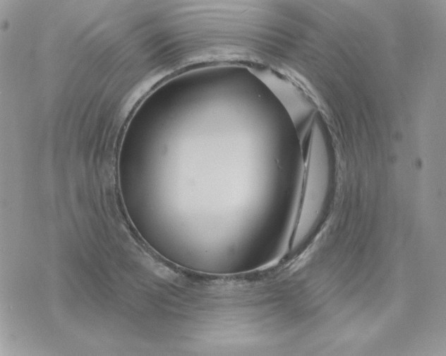 X0000074961081200609291907