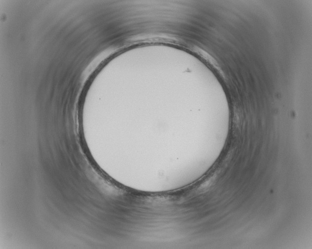 X0000074961082200609291907