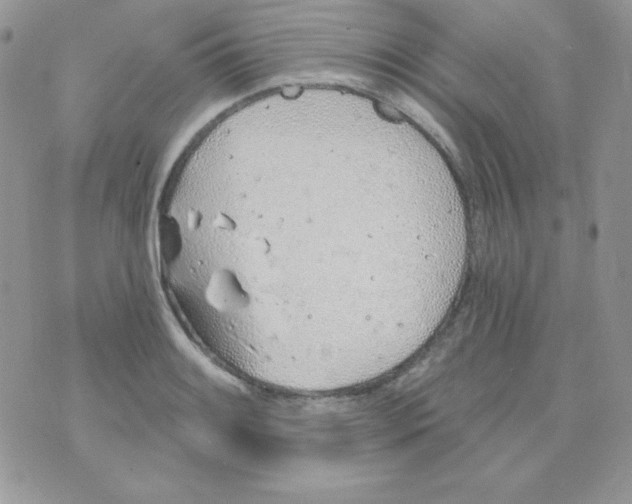 X0000074961084200609291907