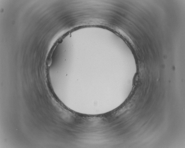 X0000074961085200609291907