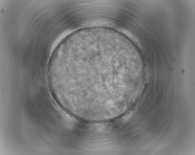 X0000074961086200609291907