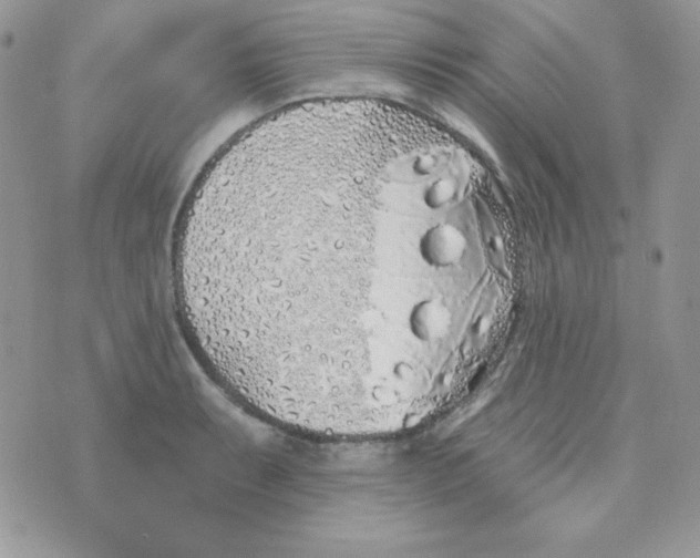 X0000074961087200609291906