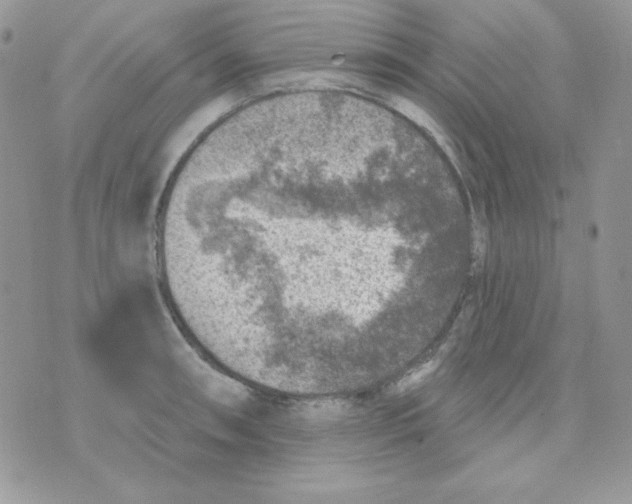 X0000074961090200609291906