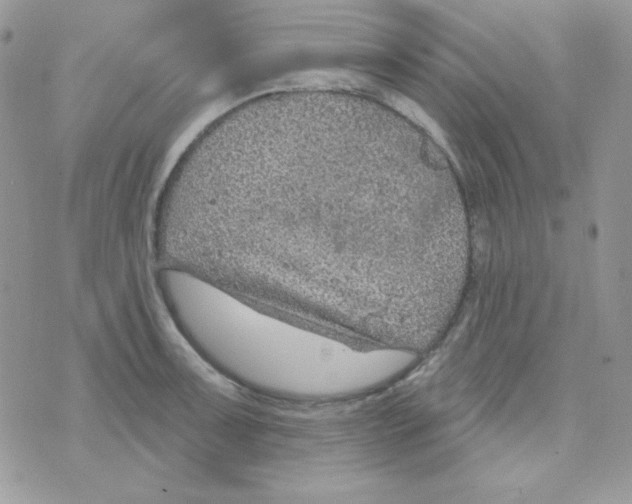 X0000074961091200609291906