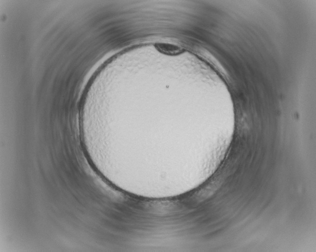 X0000074961092200609291906