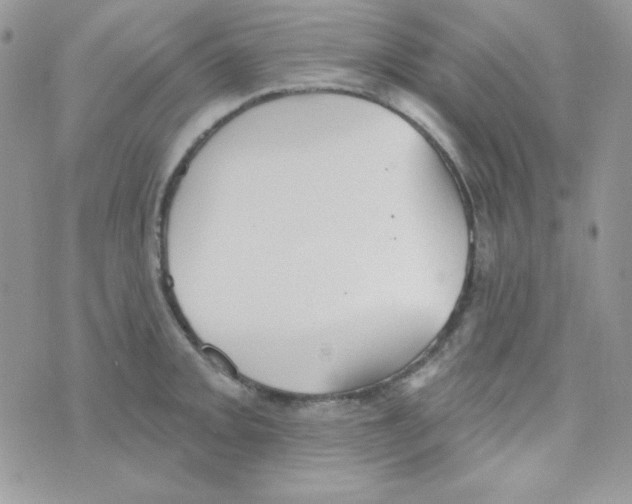 X0000074961093200609291906