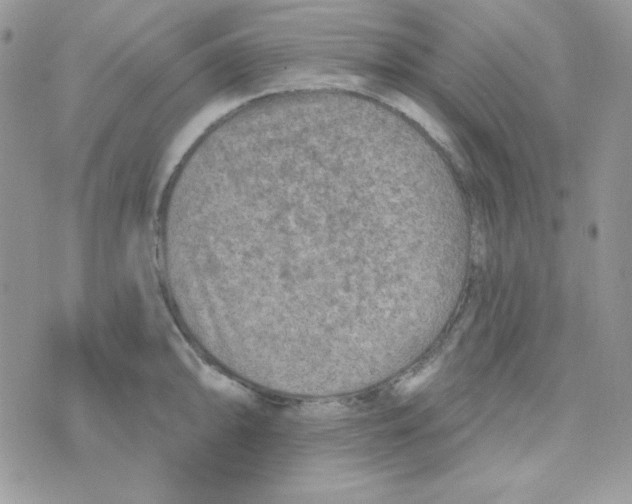 X0000074961094200609291906