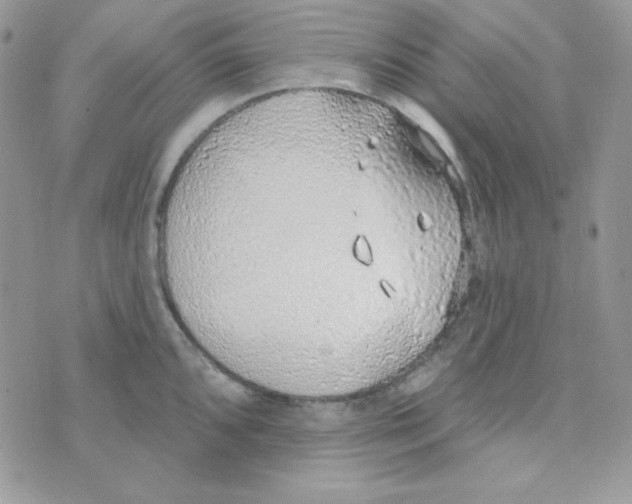 X0000074961096200609291906