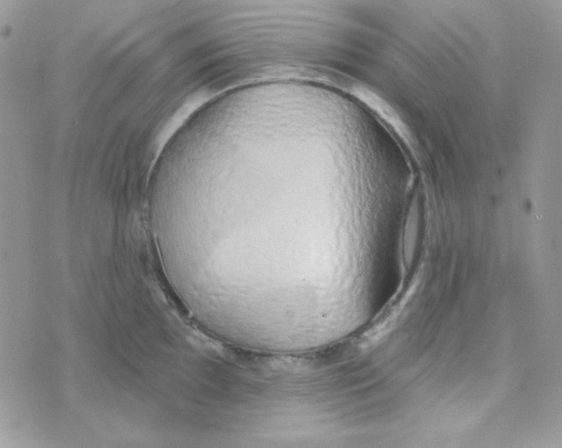 X0000074961097200609291906