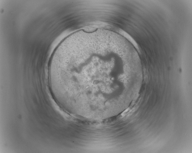 X0000074961099200609291906