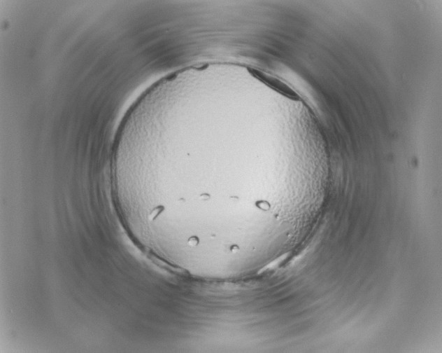 X0000074961100200609291906