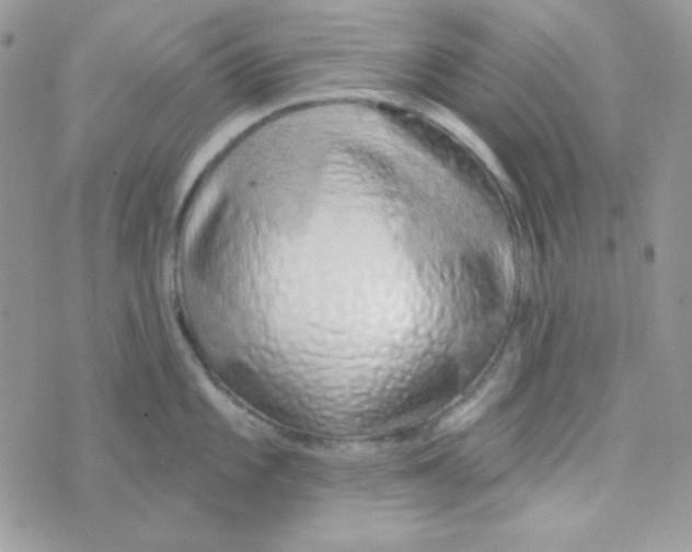 X0000074961101200609291906