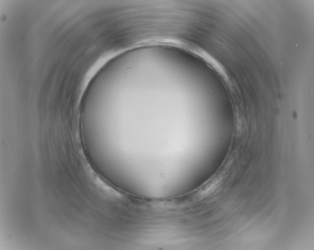 X0000074961102200609291906