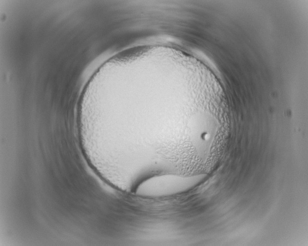 X0000074961103200609291906