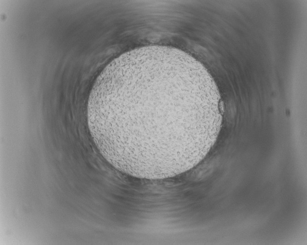 X0000074961105200609291905