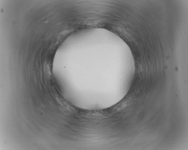 X0000074961106200609291905